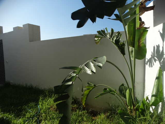 Vente Maison/Villa HAMMAMET TUNISIE  