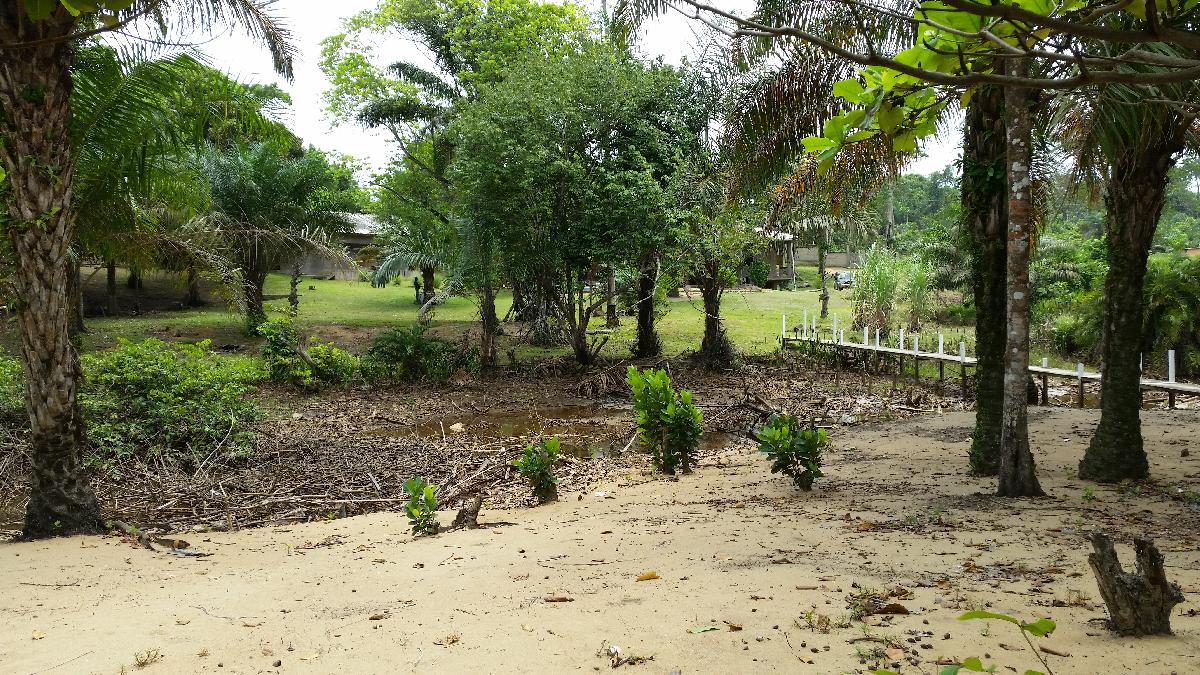 Vente Terrain KRIBI CAMEROUN  