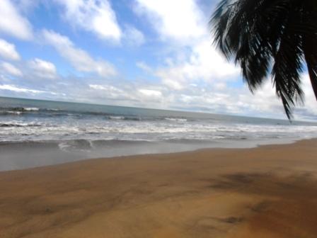 Vente Terrain KRIBI EBOUYOE CAMEROUN  