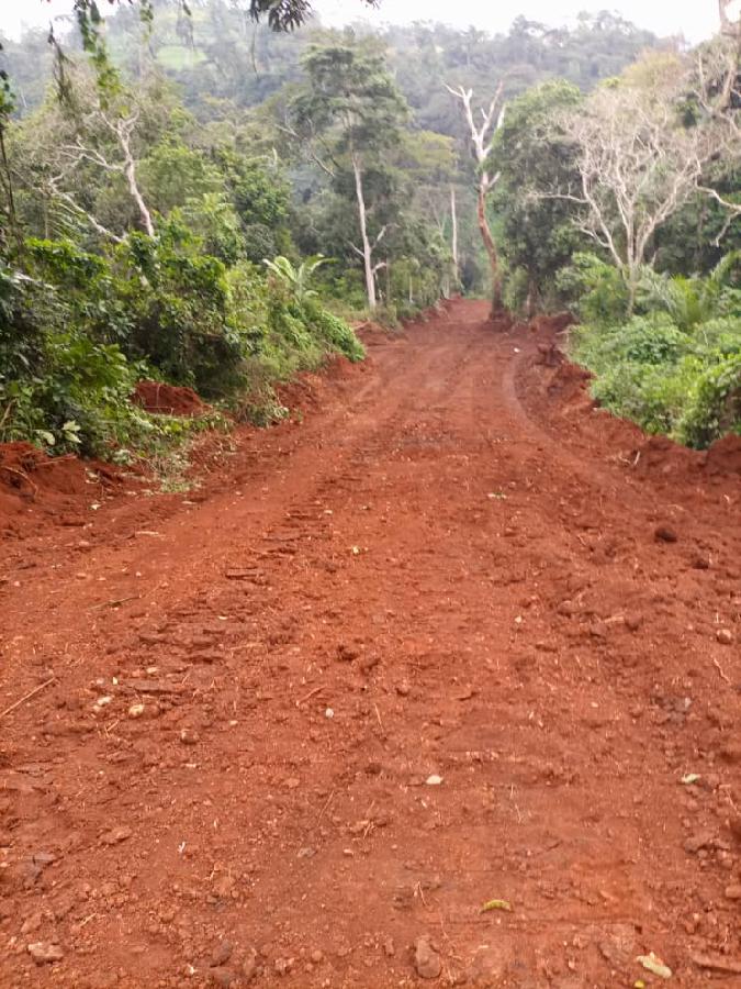 Vente Terrain YAOUNDE - NKOLONDOM CAMEROUN  