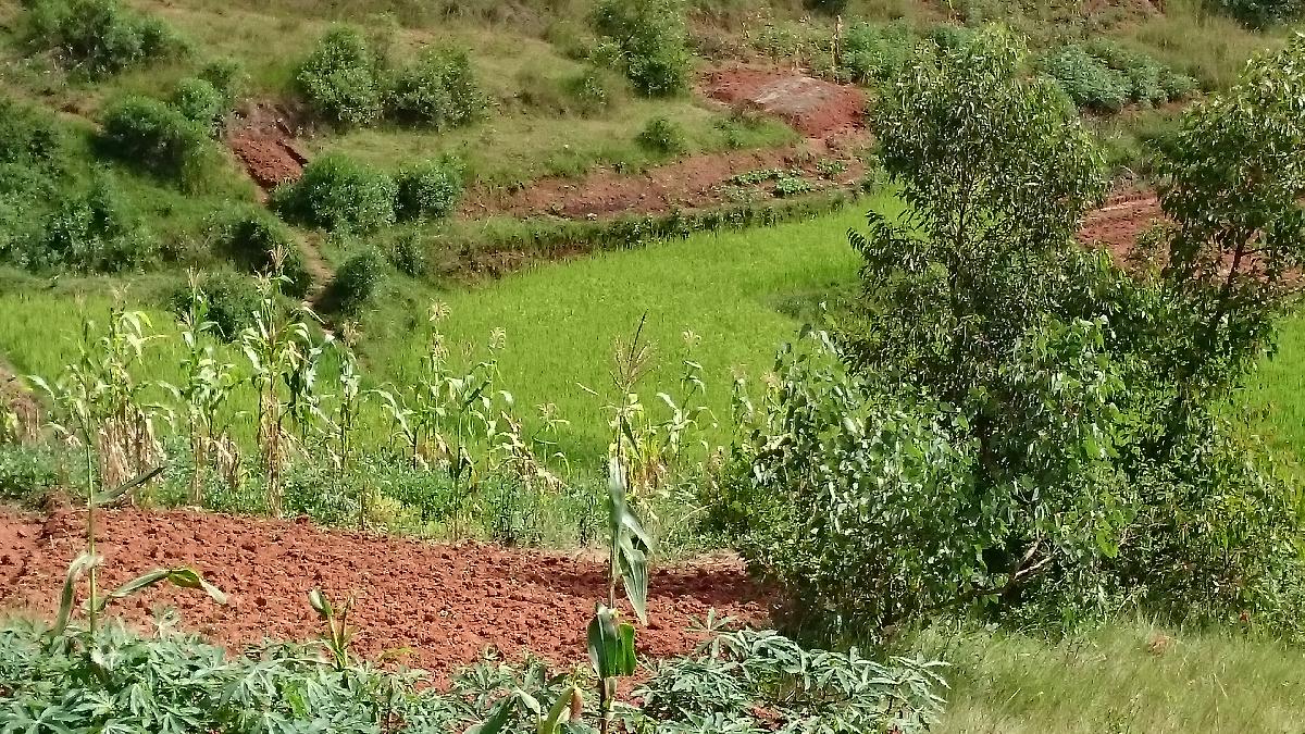 Vente Terrain ANTANANARIVO MADAGASCAR  