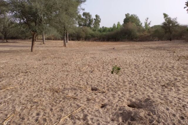 Vente Terrain DIOURBEL SENEGAL  