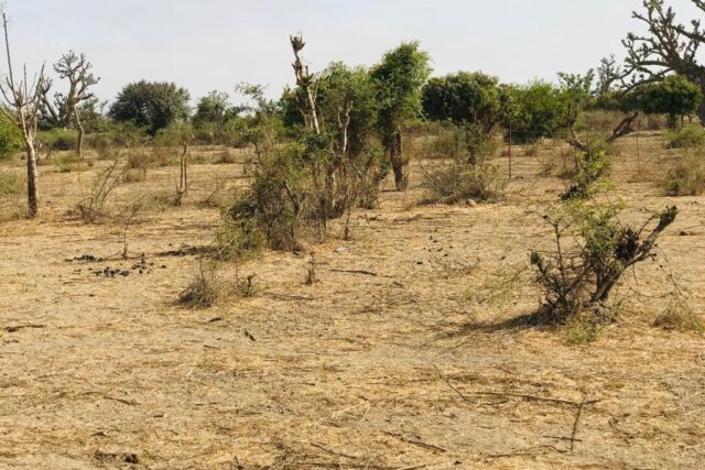 Vente Terrain MONT ROLAND SENEGAL  