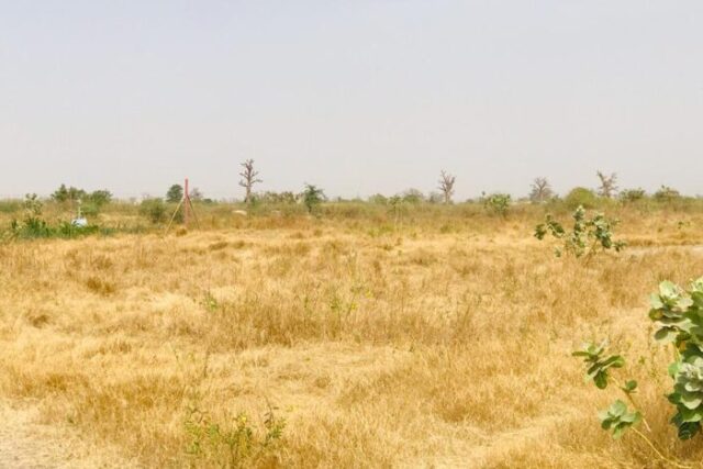 Vente Terrain NGUENIENE SENEGAL  