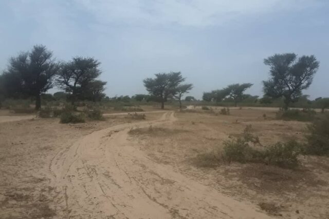 Vente Terrain THIES SENEGAL  