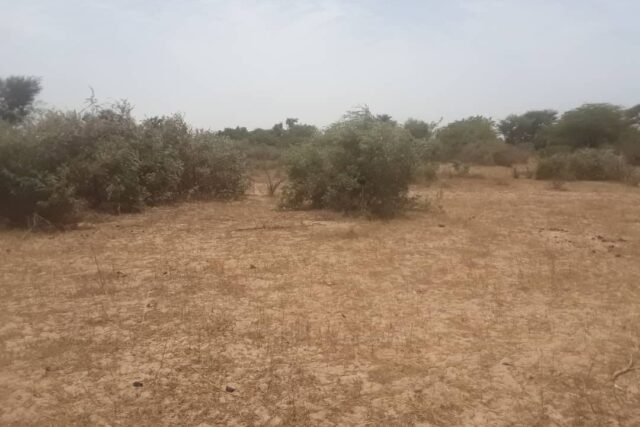 Vente Terrain THIES SENEGAL  