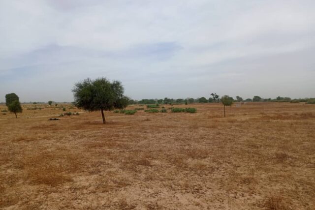 Vente Terrain THIES SENEGAL  