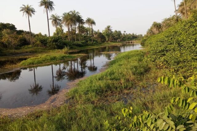 Vente Terrain ZIGUINCHOR SENEGAL  