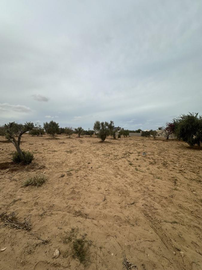 Vente Terrain DJERBA TUNISIE  